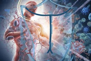 Санитарный щит – безопасность для здоровья (предупреждение, выявление, реагирование)