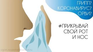 Профилактика гриппа и ОРВИ в рамках реализации коммуникационной стратегии «Санпросвет» федерального проекта «Санитарный щит страны – безопасность для здоровья. Предупреждение, выявление, реагирование»
